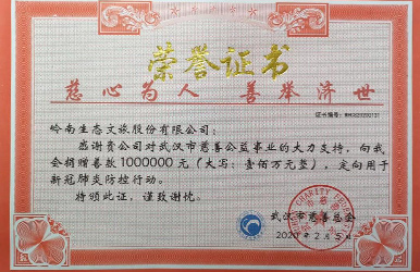 滚球体育app最新版向武汉市慈善总会捐赠人民币100万元